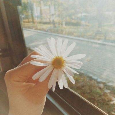 半岛·综合体育下载手机版